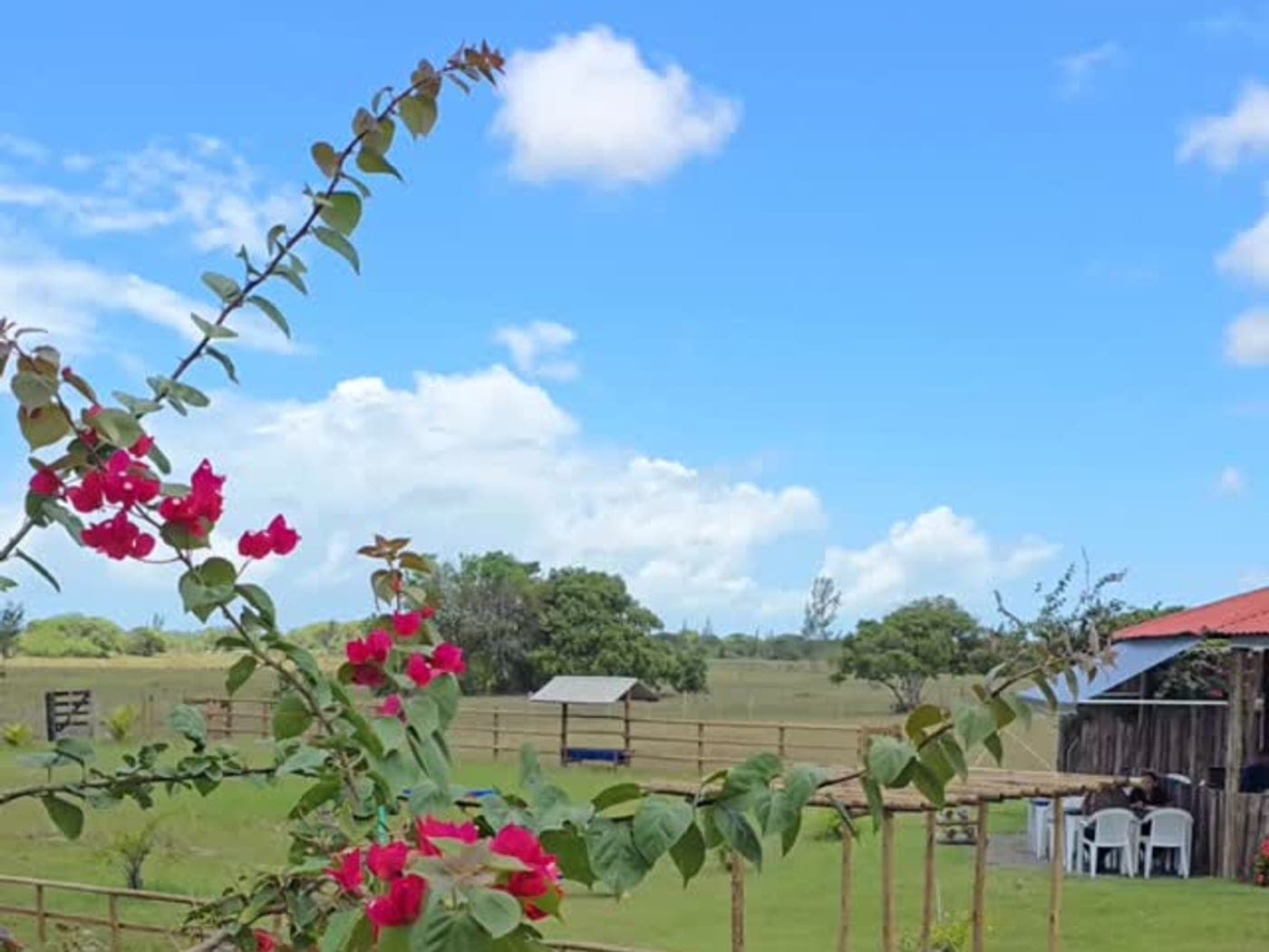A água acumulada no terreno vizinho ao Rancho Aroeira, com primavera florida ao lado