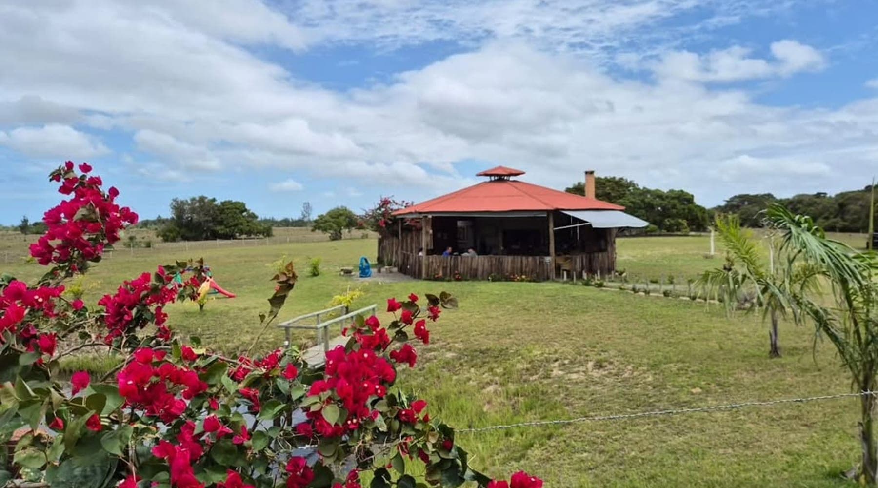 O Rancho Aroeira no meio do pasto, telhado vermelho e primavera florida em primeiro plano